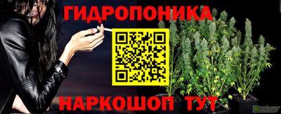 бошки Рязань