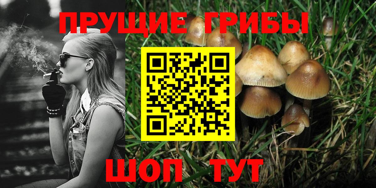 Галлюциногенные грибы мухоморы  Вход с VPN  Семилуки  Галлюциногенные грибы MAGIC MUSHROOMS 
