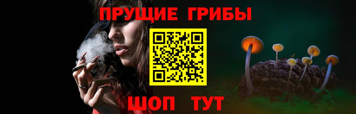 Псилоцибиновые грибы прущие грибы Семилуки